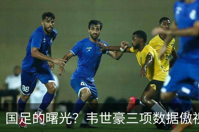 国足的曙光？韦世豪三项数据傲视全场，新西兰高层称防守他极具挑战